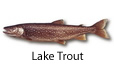 Lake Trout fishing tips
