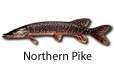 Northern Pike fishing tips