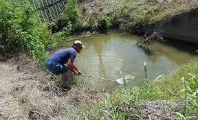 fishing for crawfish